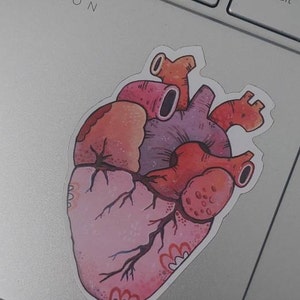 sofia ha aggiunto una foto del proprio acquisto