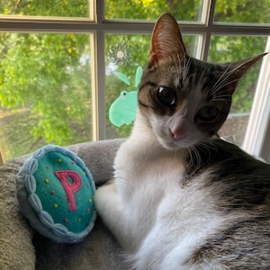 Blair added a photo of their purchase