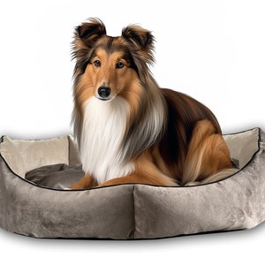 Danuta added a photo of their purchase