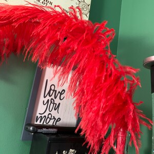 OSTRICH Feather PLUMES 18-23 Over 50 Colors to Choose From for ...