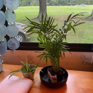 Racheal added a photo of their purchase