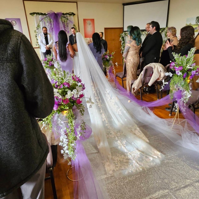 Blush and Ivory Lace Wedding Veil - Romantic Vintay Bridal Veil