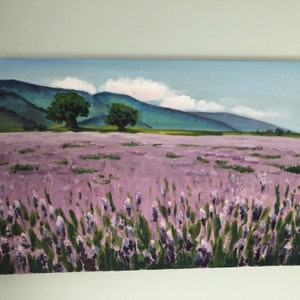 Shelly added a photo of their purchase