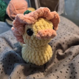 Sylwia added a photo of their purchase