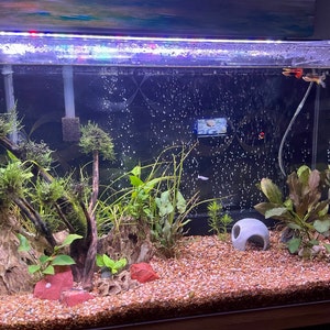 Amanda added a photo of their purchase