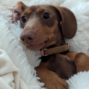 Inaktives Konto hat ein Foto des gekauften Artikels hinzugefügt