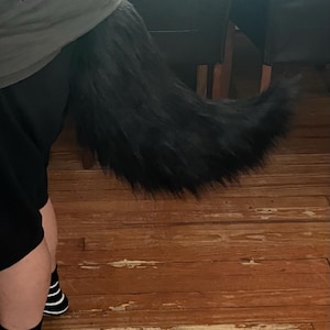 Milo added a photo of their purchase