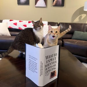 Katie added a photo of their purchase