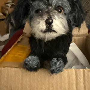 Linda ha añadido una foto de su compra