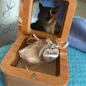 Cara adicionaram uma foto da sua compra