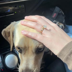 Leonor added a photo of their purchase