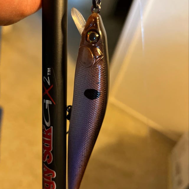 Handmade Custom Painted Fishing Lure - Blueback Herring - HCL - Etsy