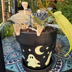 Bieonica added a photo of their purchase