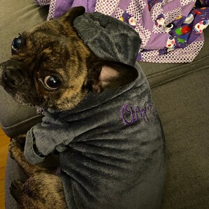 barkley & finn dog jacket