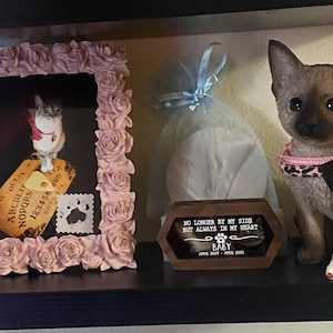 venus a ajouté une photo de son achat
