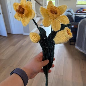 Elise added a photo of their purchase