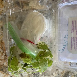 Ursula dodał(a) zdjęcie swoich zakupów