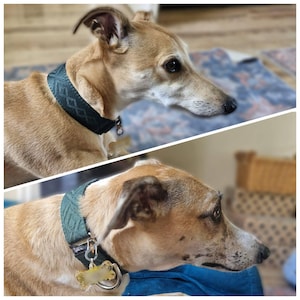 River added a photo of their purchase