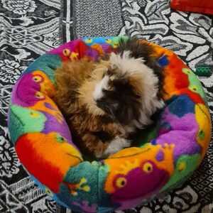 Cally added a photo of their purchase