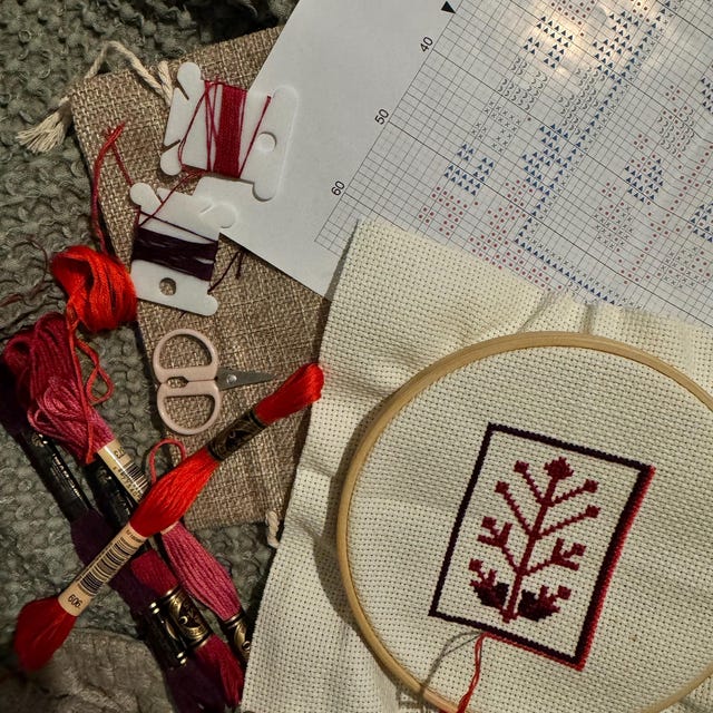Borsa In Tela Da Ricamo Kit Ricamo Per Principianti CREAWONDER - Borsa In Tela Con Motivo Floreale, Include Cerchio, Fili Colorati, Aghi E Istruzioni Creawonder Ricamo