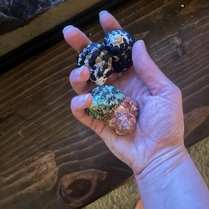 Rachel added a photo of their purchase