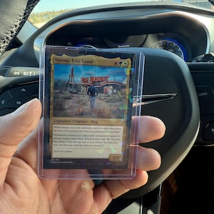 Dillon added a photo of their purchase