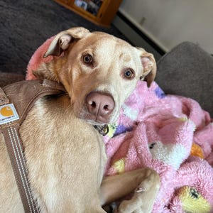 Zoe added a photo of their purchase