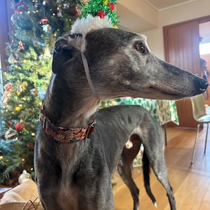 Freya added a photo of their purchase