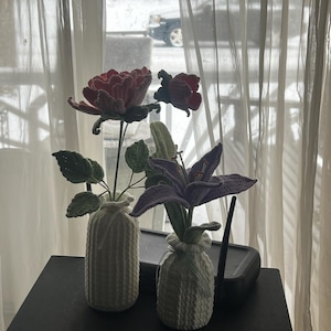 Hanna added a photo of their purchase