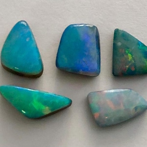 Diana added a photo of their purchase