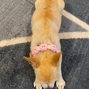 Moon added a photo of their purchase