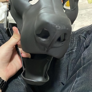 Pascal adicionaram uma foto da sua compra