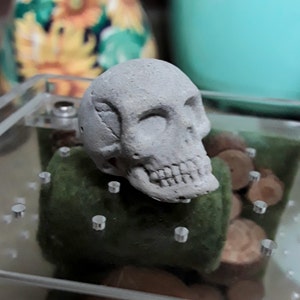 Tam hat ein Foto des gekauften Artikels hinzugefügt