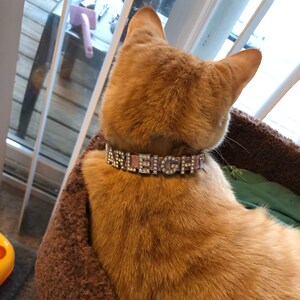 XXS Dog Collar Personalized Collar the Sparkles Extra Small Dog Collar