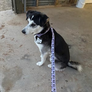 ashlee added a photo of their purchase