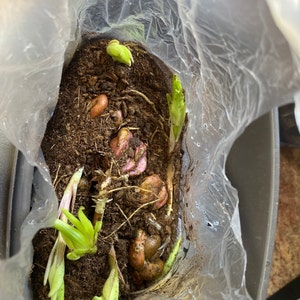 Judy added a photo of their purchase