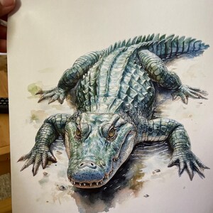ワニのクリップアート、12種類の水彩爬虫類アート、高品質JPG