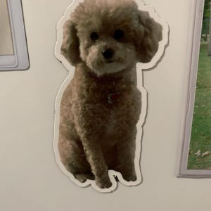 Linda added a photo of their purchase