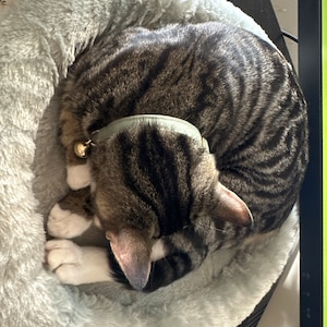 Jennifer added a photo of their purchase
