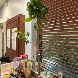Karen added a photo of their purchase
