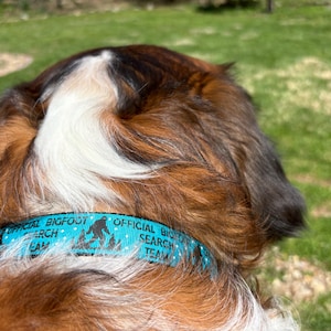 Mel added a photo of their purchase