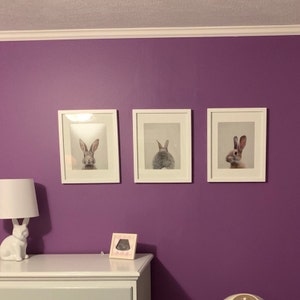 Julia added a photo of their purchase