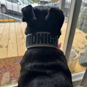 Tizzy added a photo of their purchase