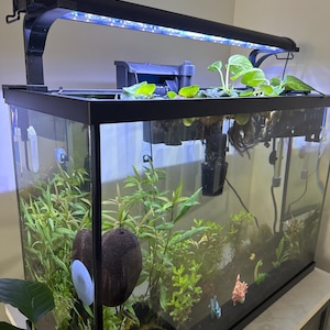 Elia added a photo of their purchase