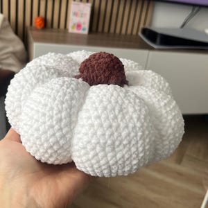 Gwenn hat ein Foto des gekauften Artikels hinzugefügt