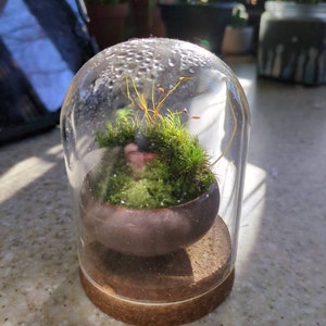 Tracy hat ein Foto des gekauften Artikels hinzugefügt