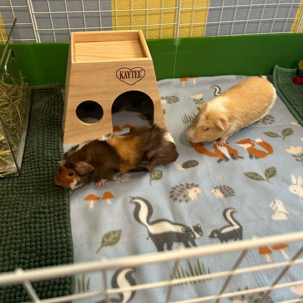 Image showcasing Custom Fleece Guinea Pig Cage Liner C&C 1x2 2x2 2x3 2x4 2x5 Liner ...