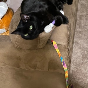 Dani added a photo of their purchase