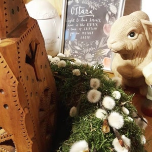 Meike added a photo of their purchase