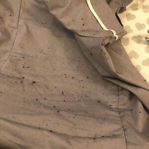 Queen added a photo of their purchase